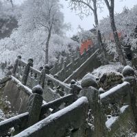 評論圖片 3