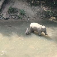 評論圖片 8