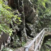 評論圖片 6