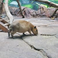 評論圖片 9