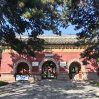 評論圖片 7