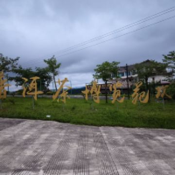 評論圖片 1