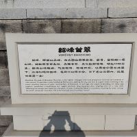 評論圖片 2