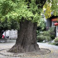 評論圖片 7