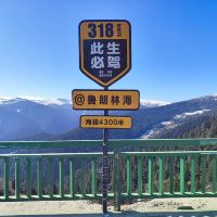 評論圖片 8
