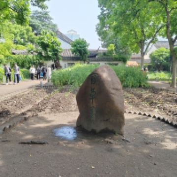 評論圖片 5
