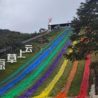 評論圖片 7