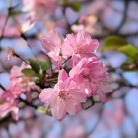評論圖片 3