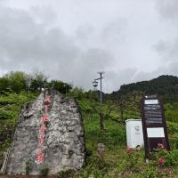 評論圖片 3