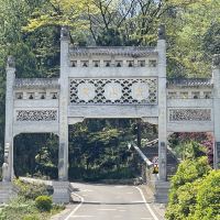 評論圖片 1
