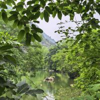 評論圖片 1