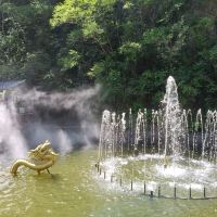 評論圖片 8