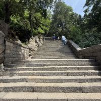 評論圖片 7