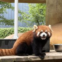 評論圖片 5