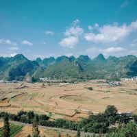 評論圖片 3