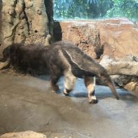 評論圖片 3