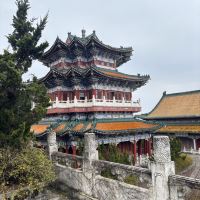 評論圖片 6