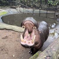 評論圖片 3