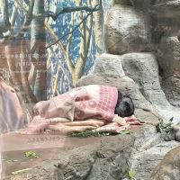評論圖片 8