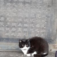評論圖片 8