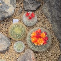 評論圖片 9