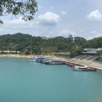 評論圖片 7