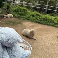 評論圖片 2