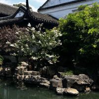 評論圖片 3