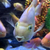 評論圖片 6