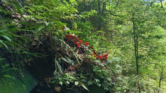 风景好，地方大，就是很长时间都在坐车，下来活动时间不多。风景