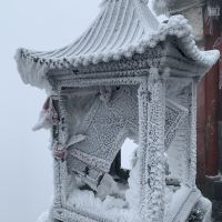評論圖片 9