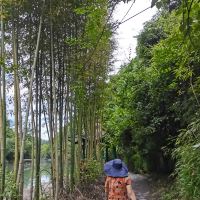 評論圖片 8