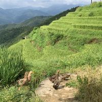 評論圖片 9
