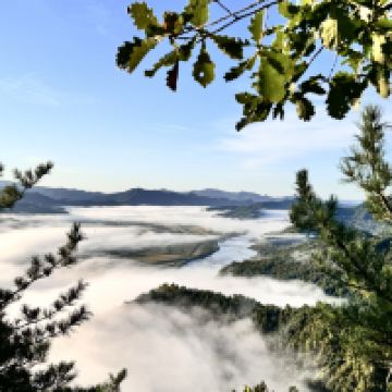 評論圖片 3