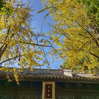 評論圖片 5