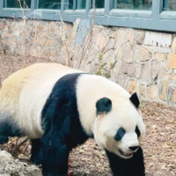 評論圖片 3