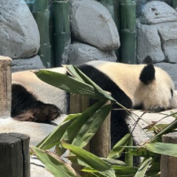 評論圖片 4