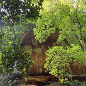 評論圖片 4