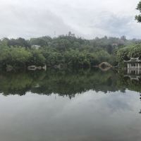 評論圖片 4