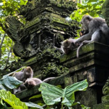 評論圖片 1
