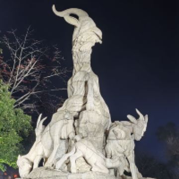 評論圖片 4