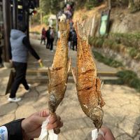 評論圖片 8