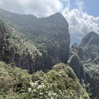 評論圖片 5