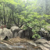 評論圖片 3