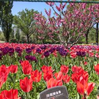 評論圖片 4
