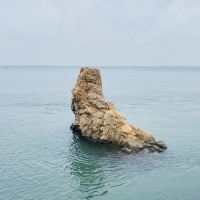 評論圖片 7