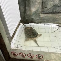 評論圖片 7