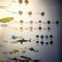 評論圖片 4