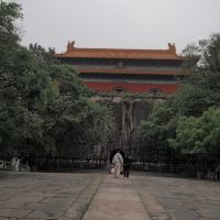 評論圖片 3