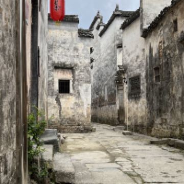 評論圖片 2